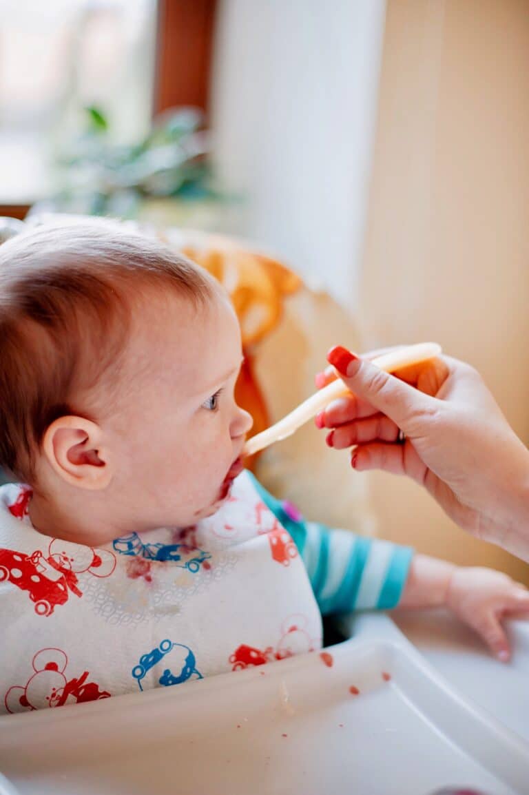 How Many Times A Day Should I Feed Solids To My 6 Month Old?
