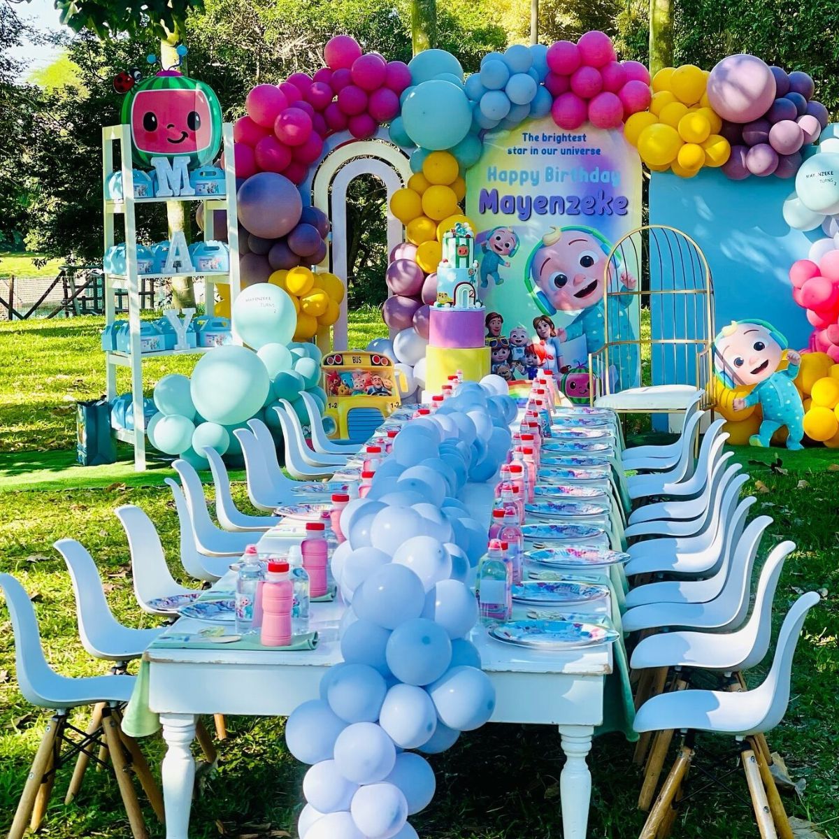 81+ Cocomelon Birthday Party Ideas to Create Magical Moments ...